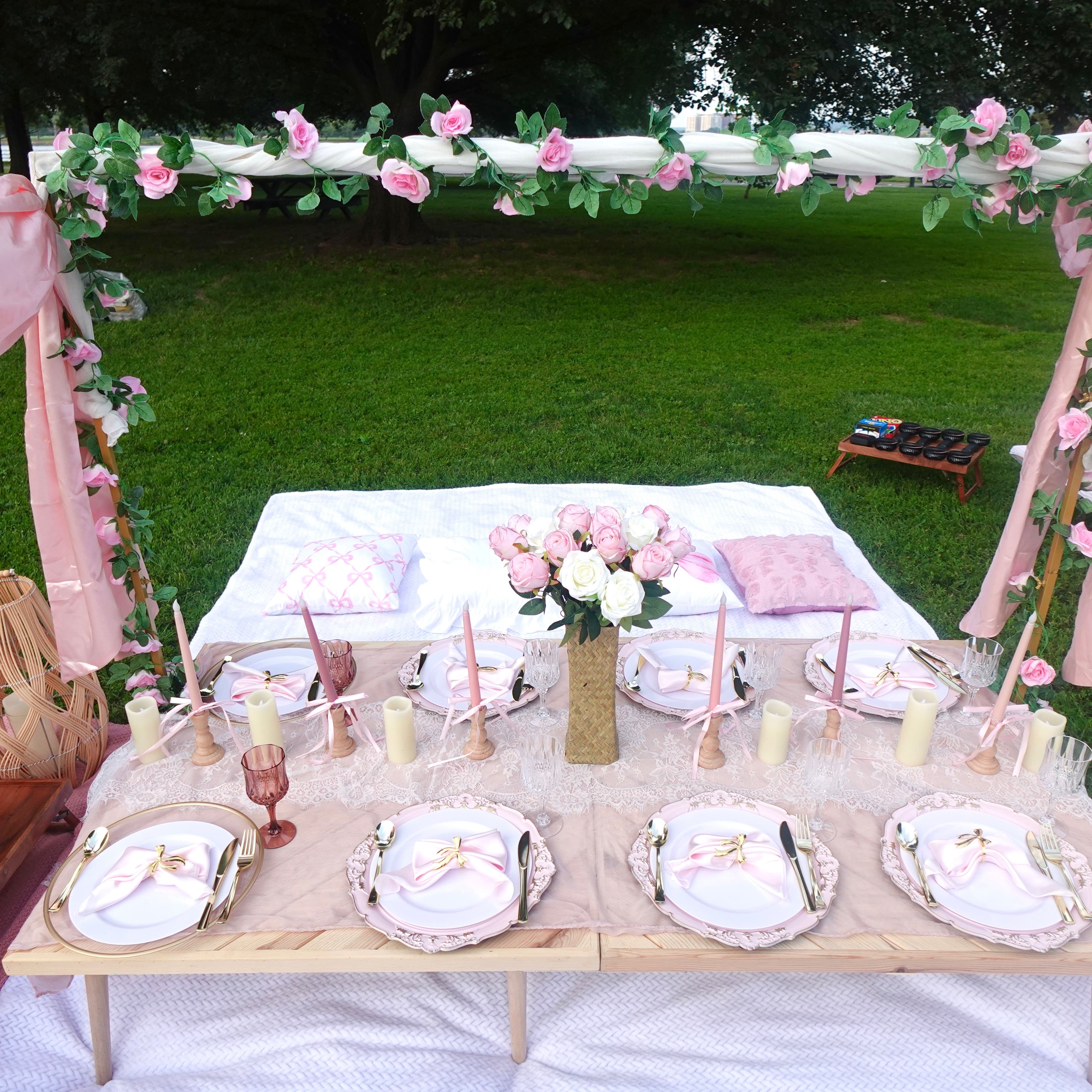 Picnic setup 2
