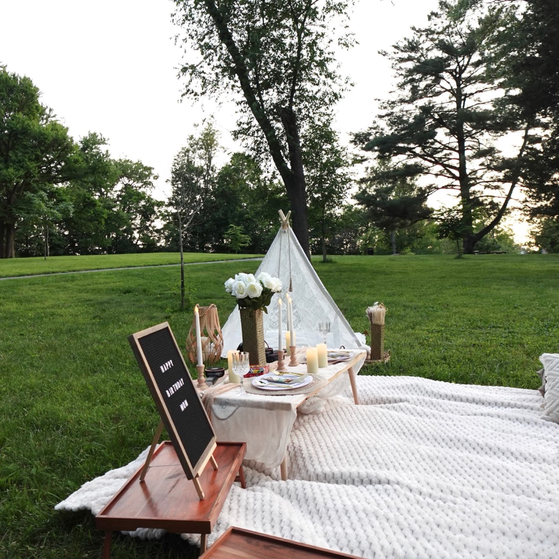 Picnic setup 8