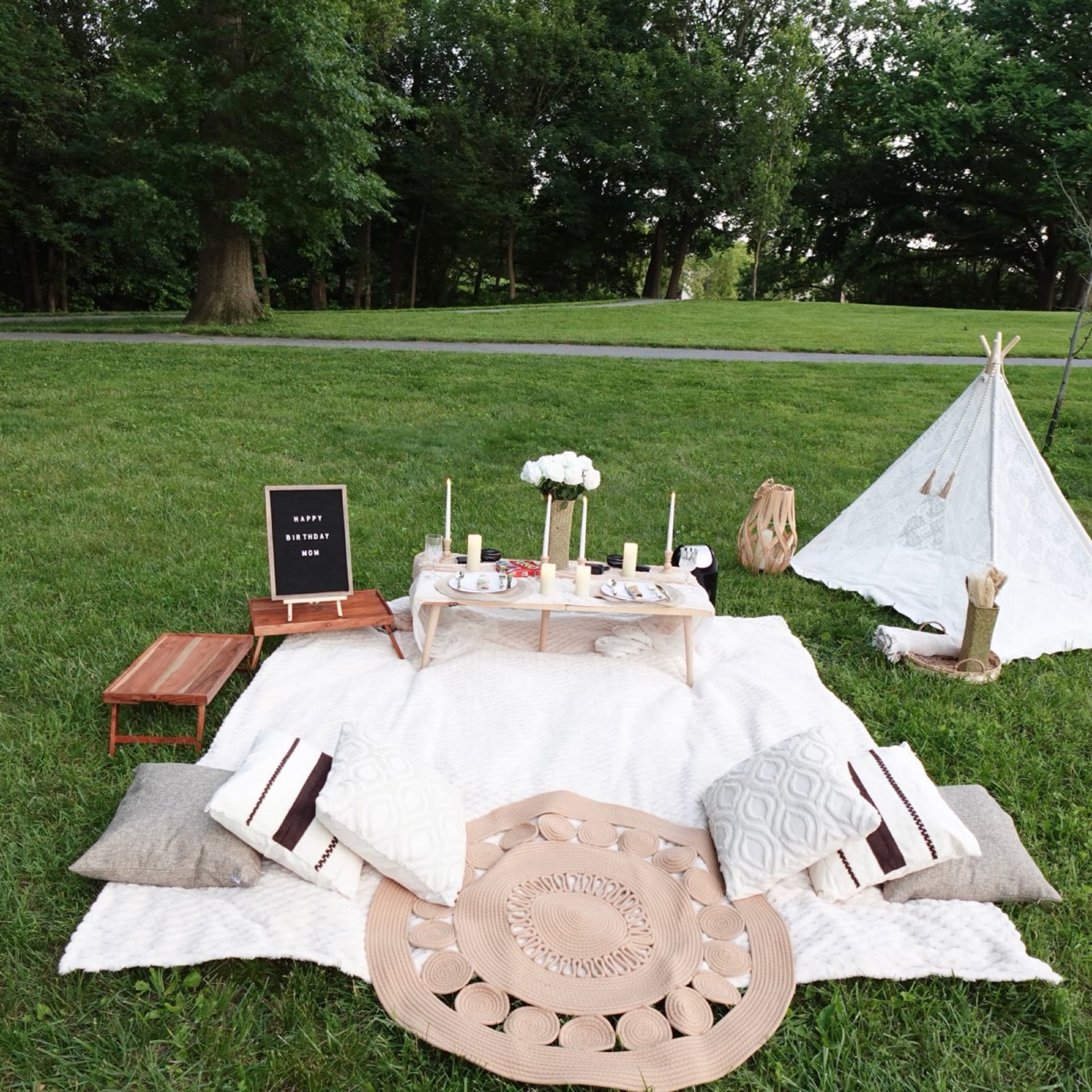 Picnic setup 10