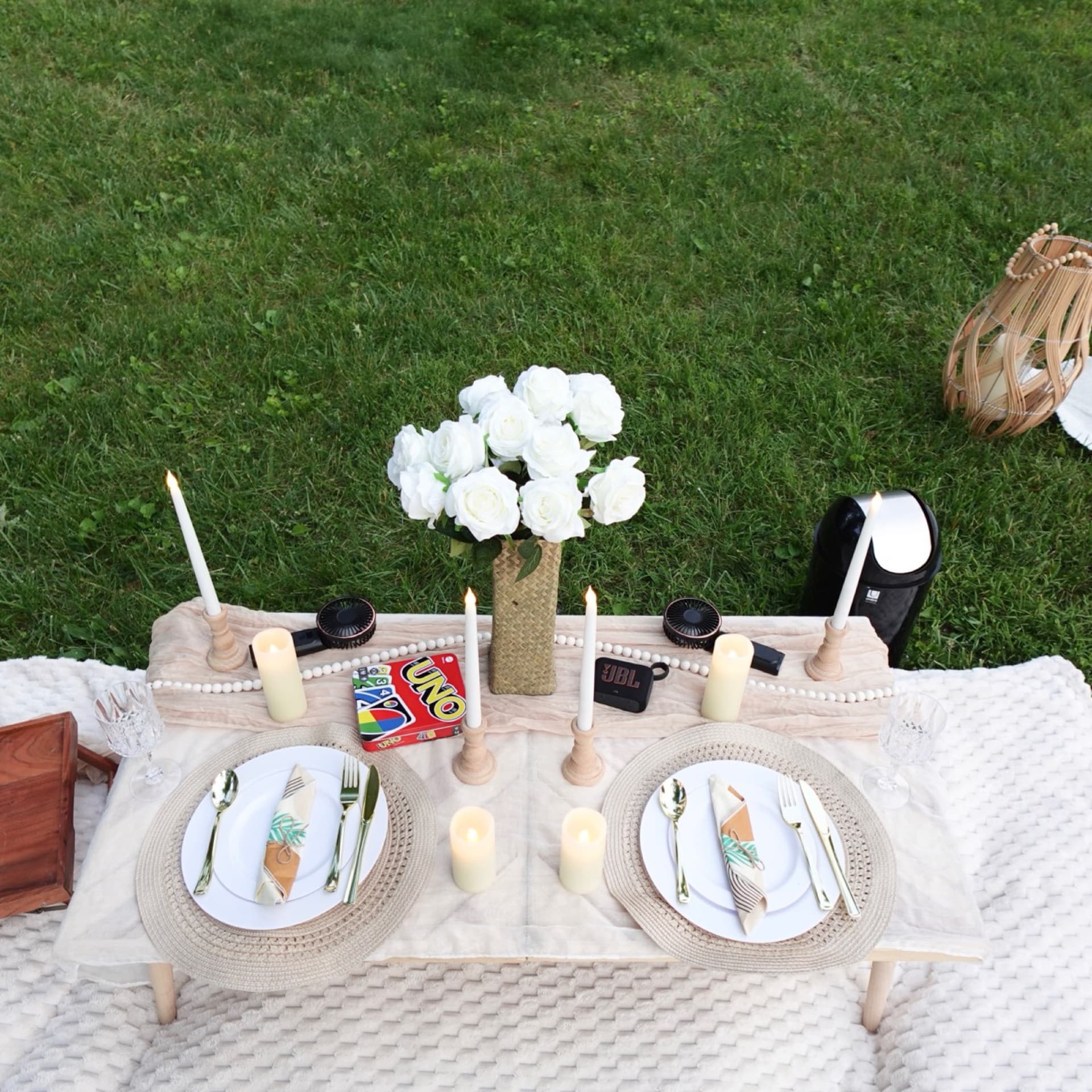 Picnic setup 14