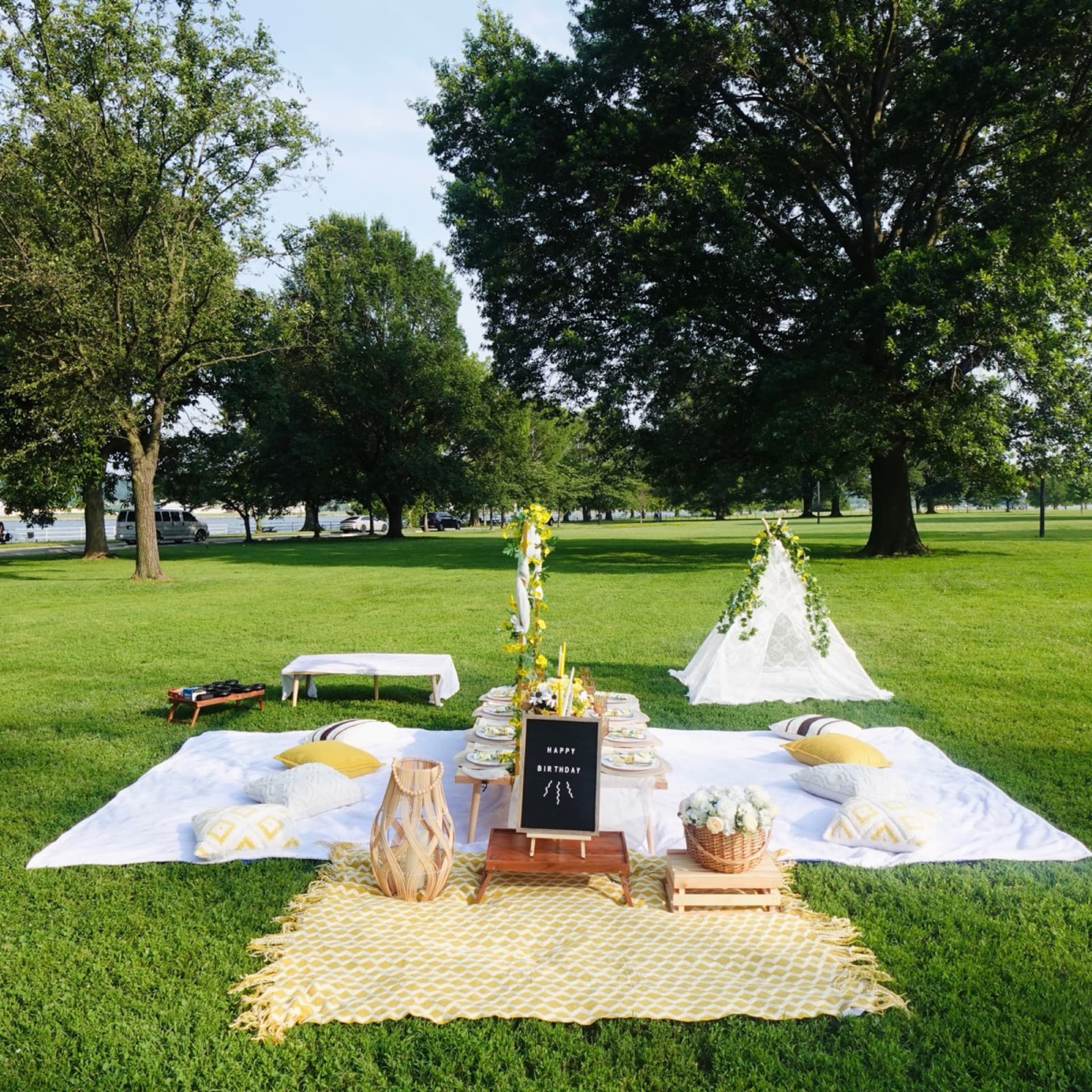 Picnic setup 6