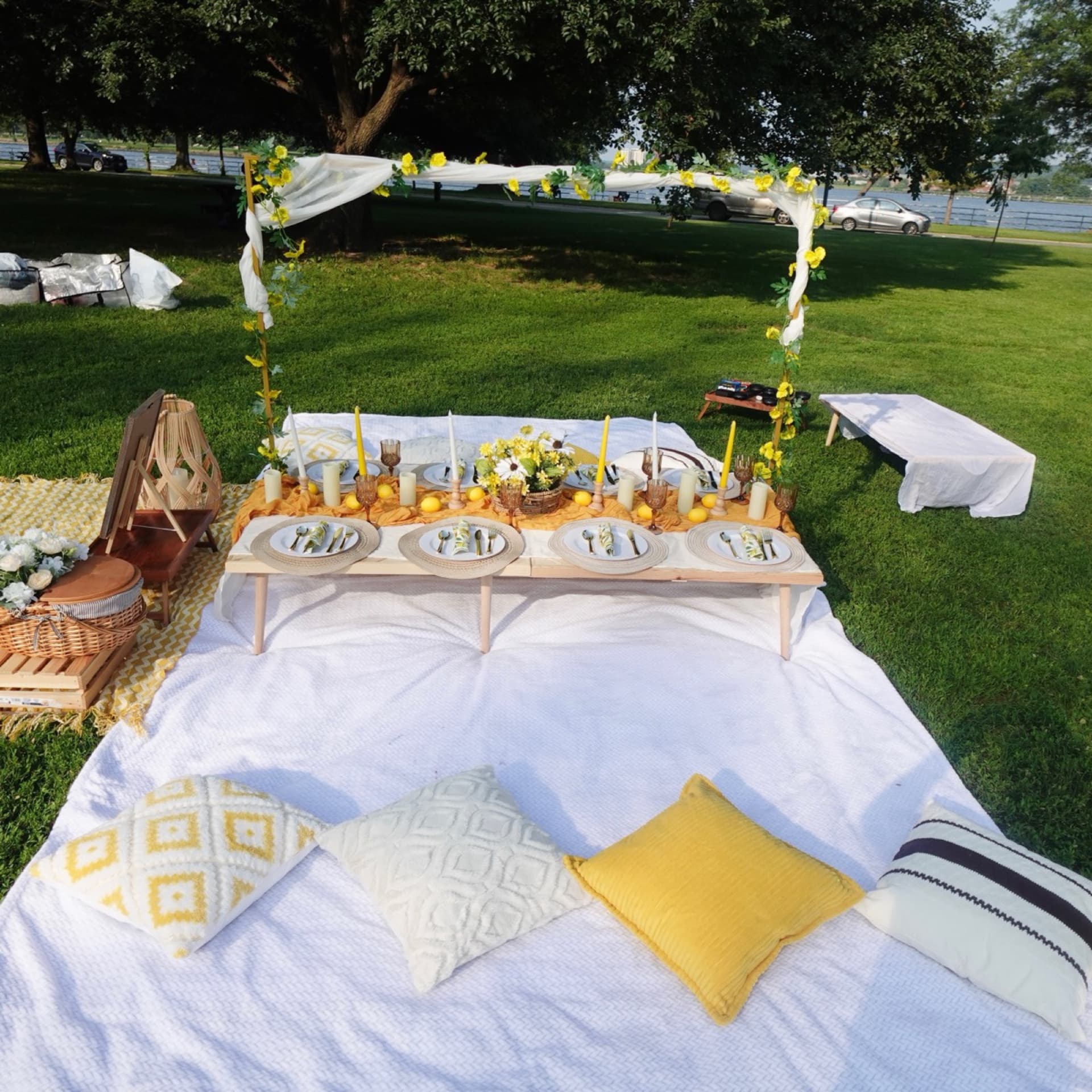 Picnic setup 16
