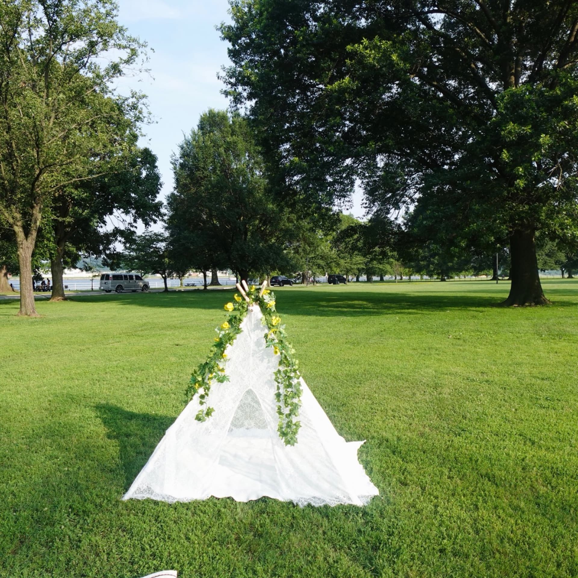 Picnic setup 20