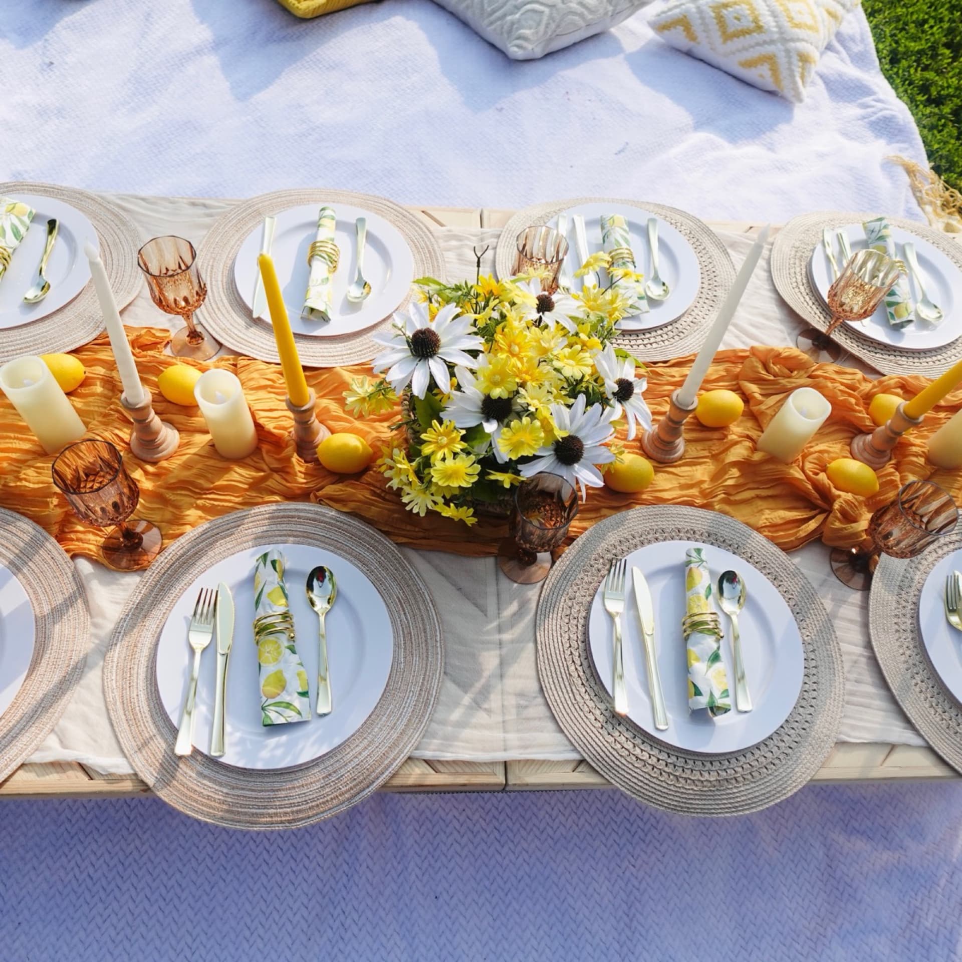 Picnic setup 22
