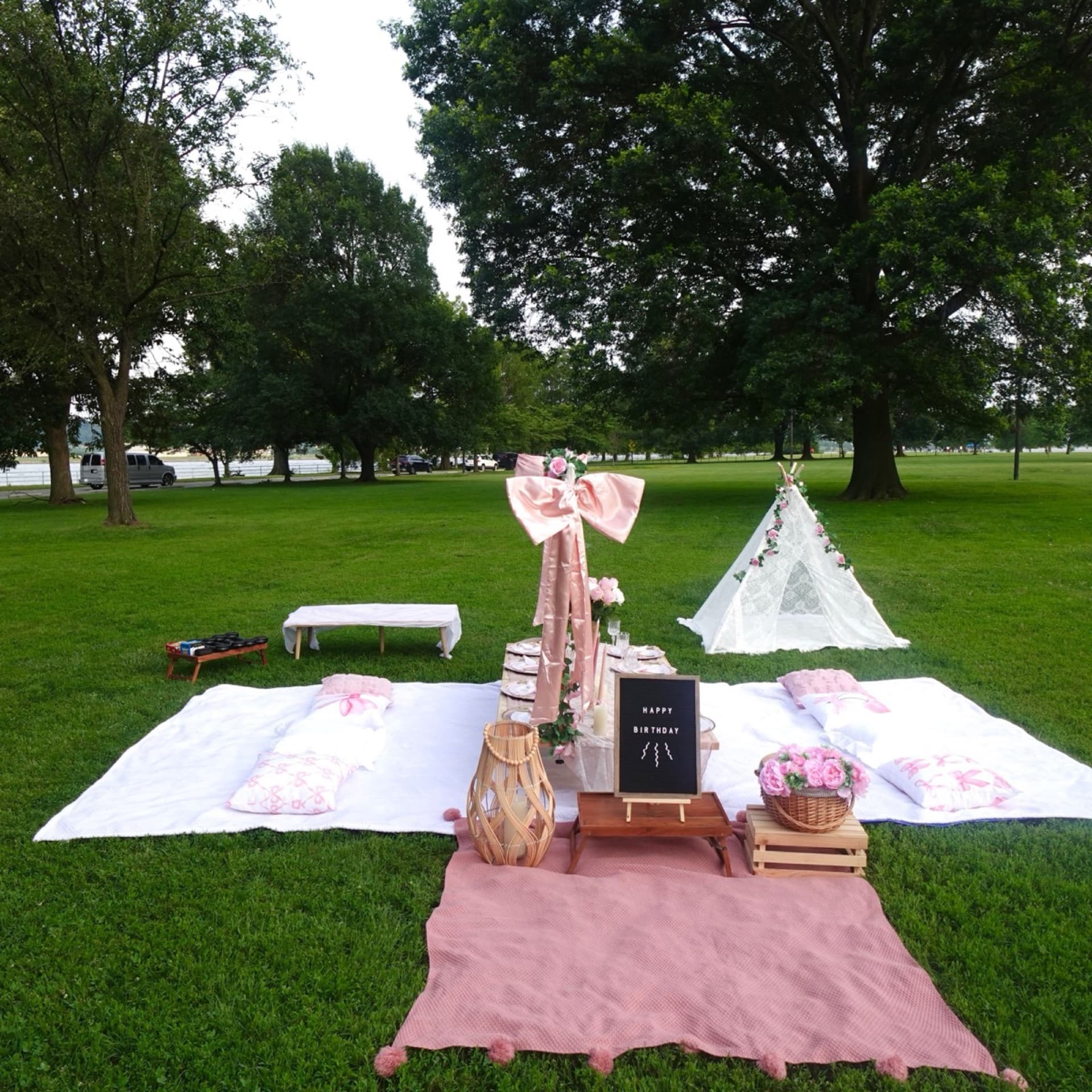 Picnic setup 24