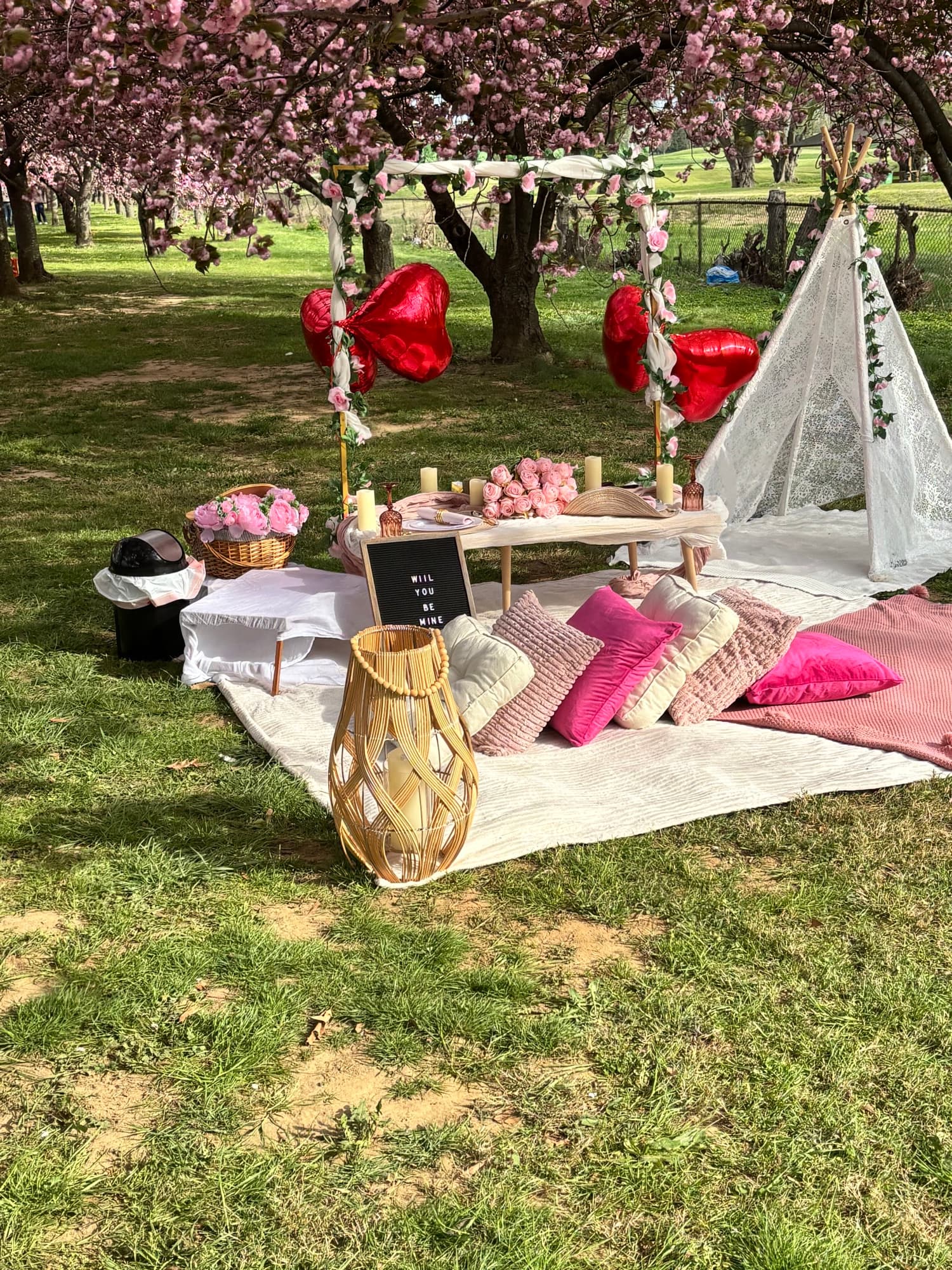 Picnic setup 7