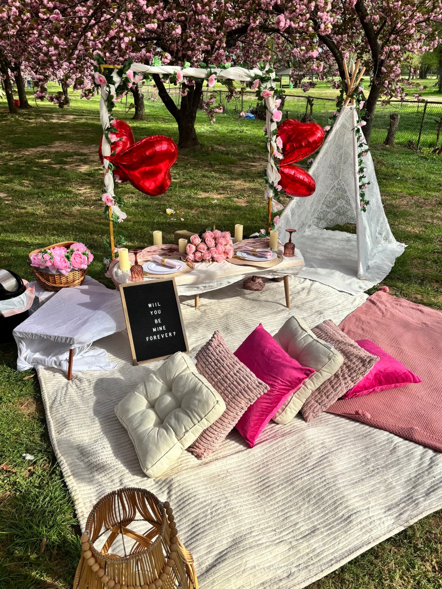 Picnic setup 13