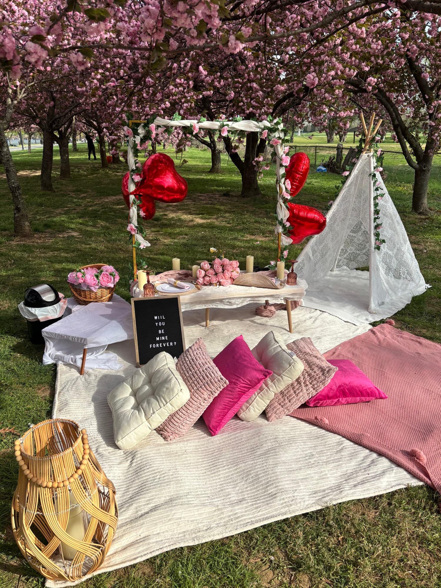 Picnic setup 19