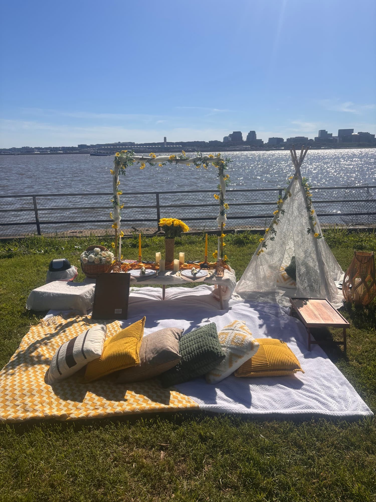 Picnic setup 9