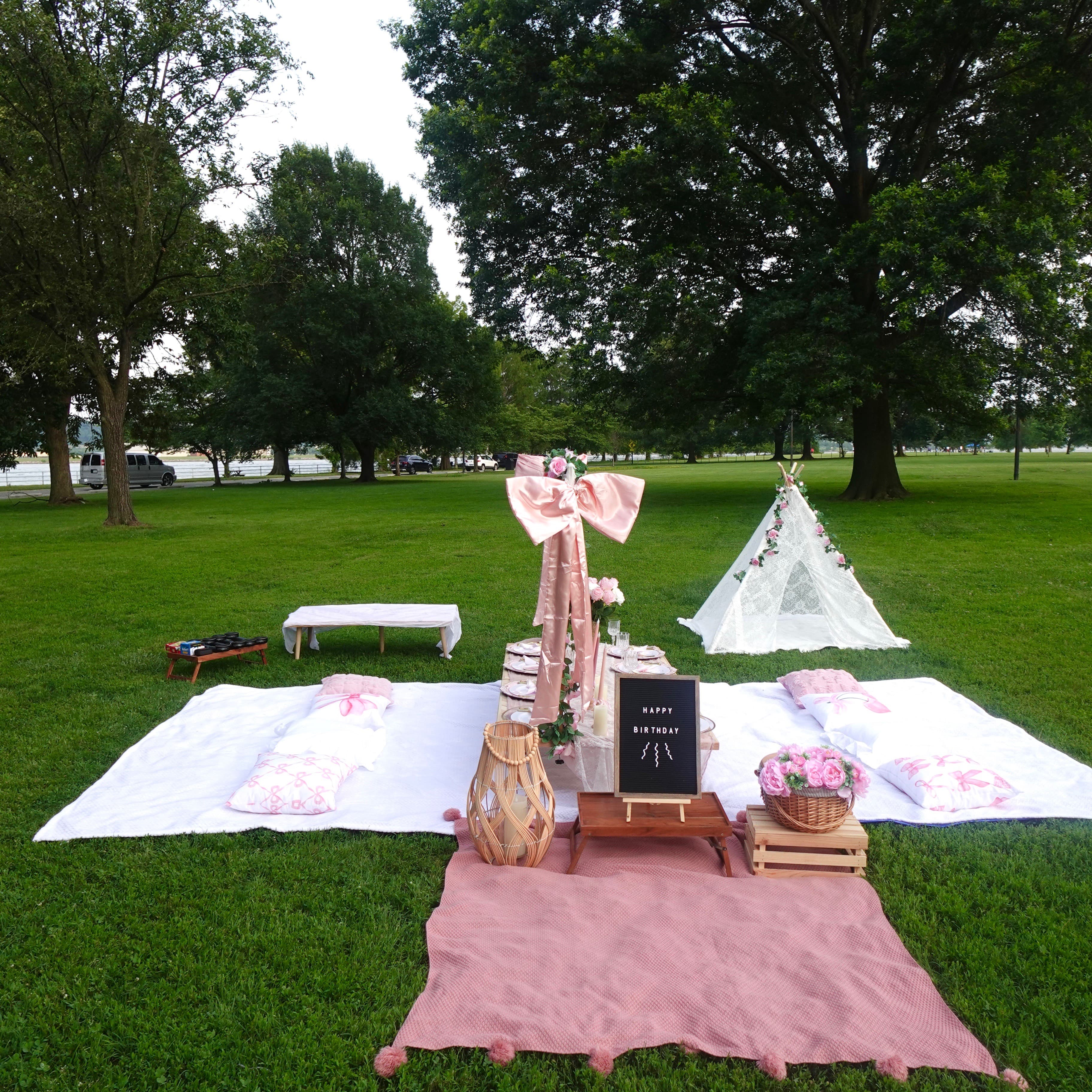 Picnic setup 1