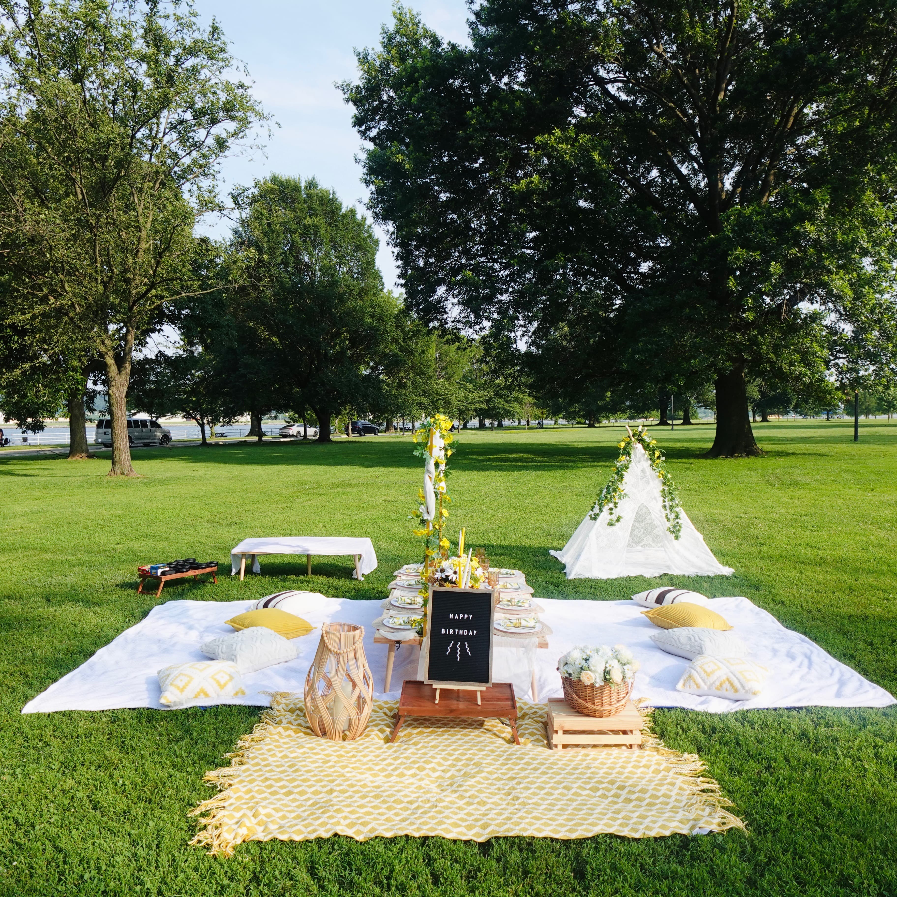 Picnic setup 3